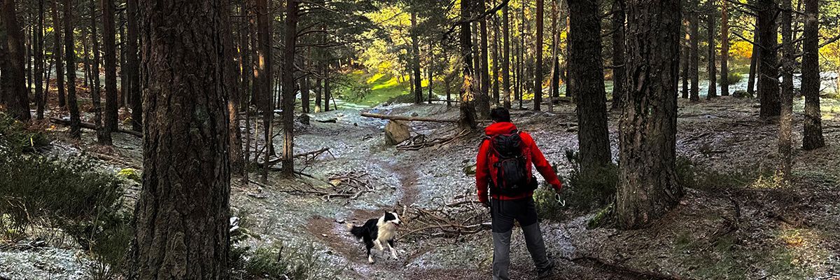 Rutas y senderos por El Espinar y San Rafael en Segovia